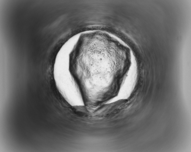 X0000093431351200711091428