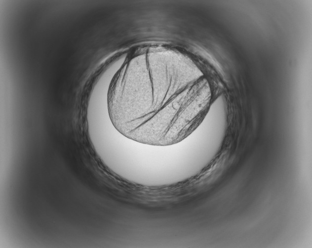 X0000093431352200711091428