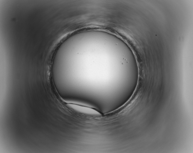 X0000093431355200711091428