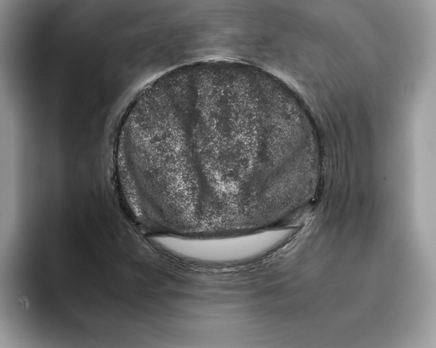 X0000093431359200711091428