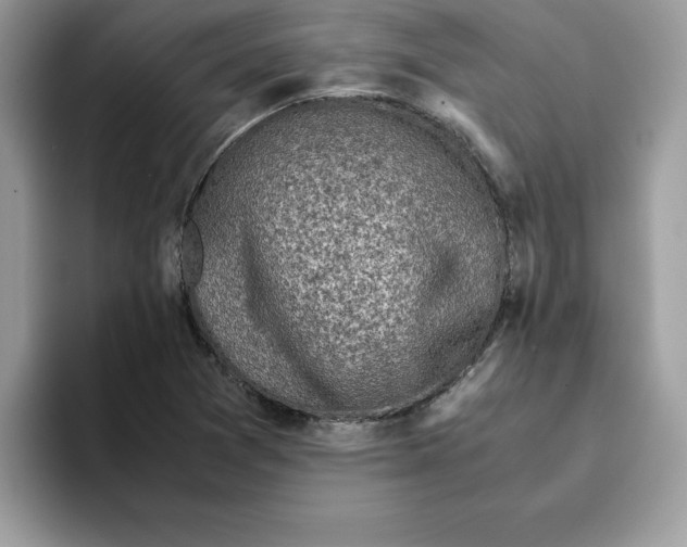 X0000093431361200711091428