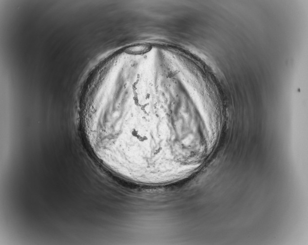 X0000093431363200711091428