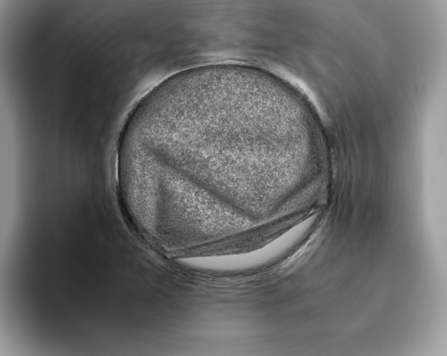 X0000093431365200711091428