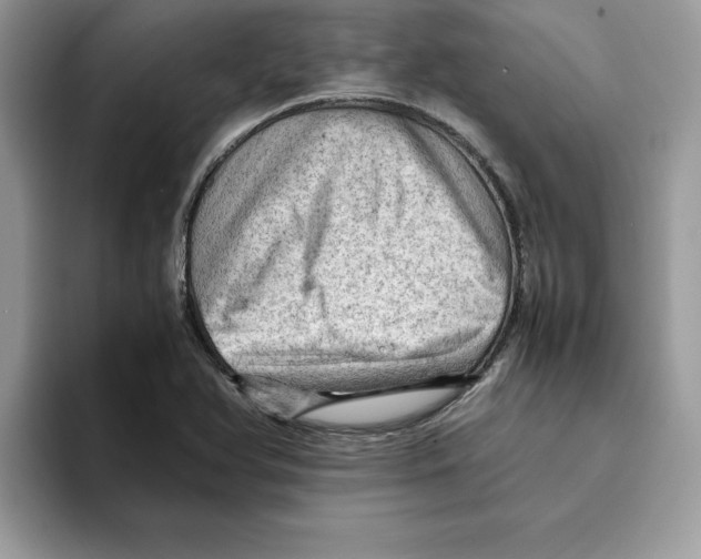 X0000093431366200711091428