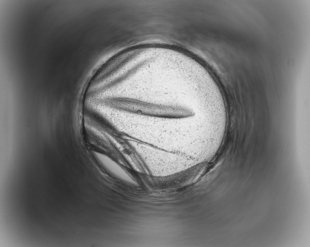 X0000093431367200711091428