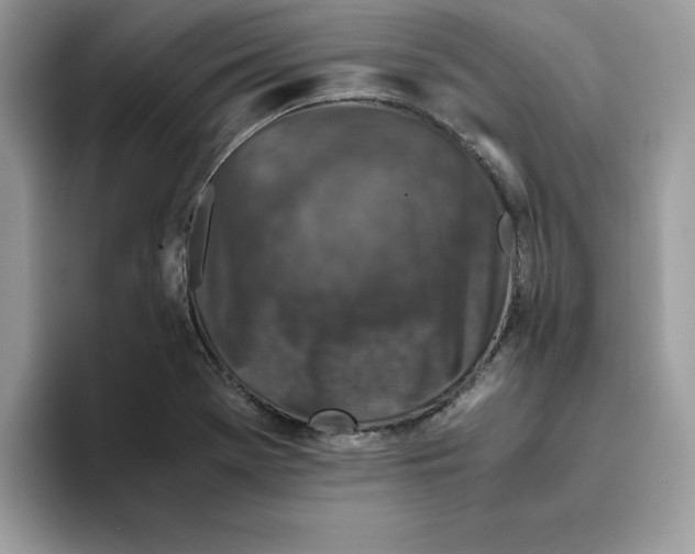 X0000093431369200711091428