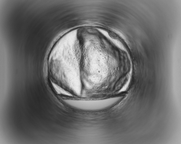 X0000093431371200711091428