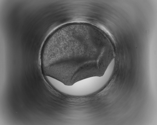 X0000093431372200711091428