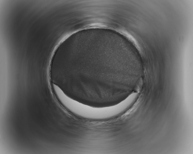 X0000093431373200711091428