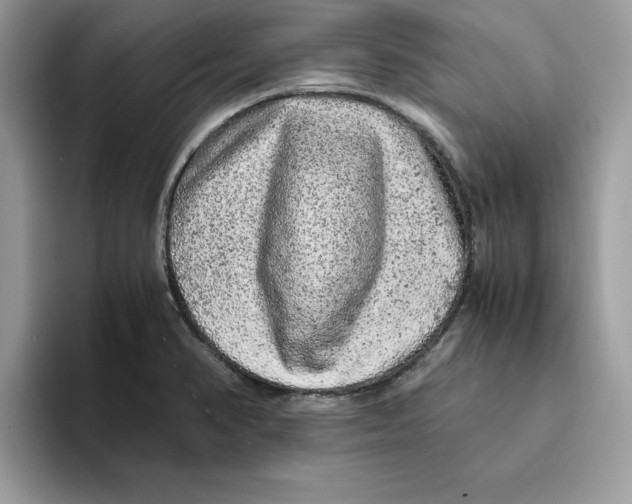 X0000093431374200711091428