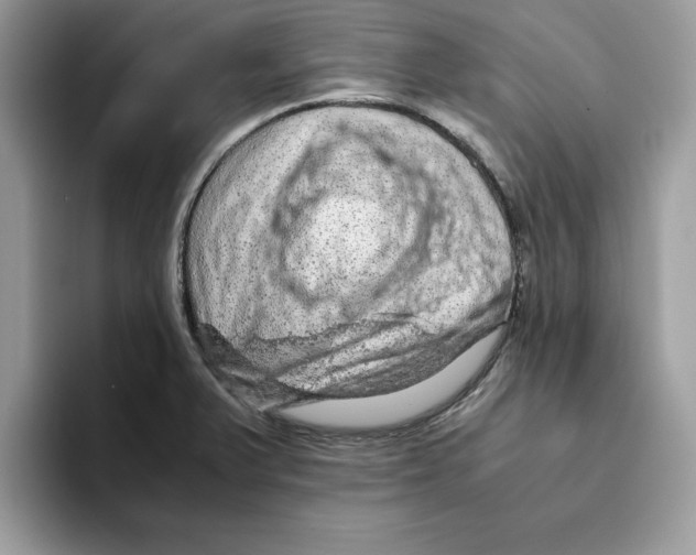 X0000093431375200711091428