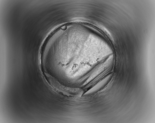 X0000093431376200711091428