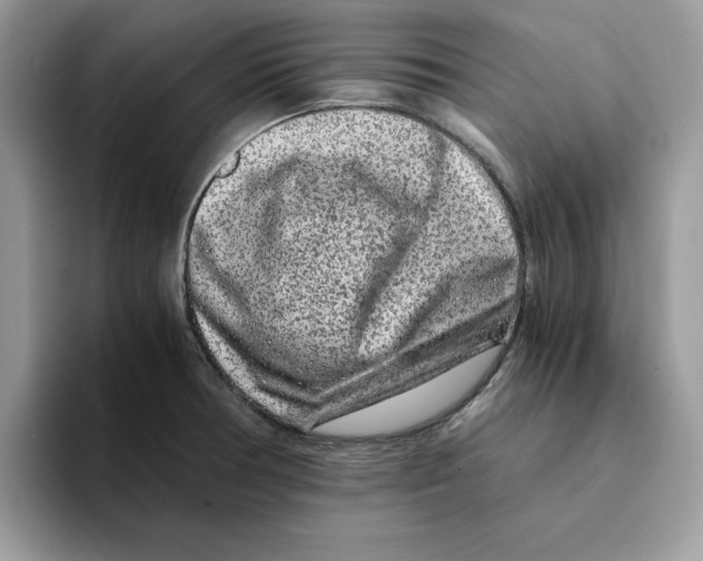 X0000093431378200711091428