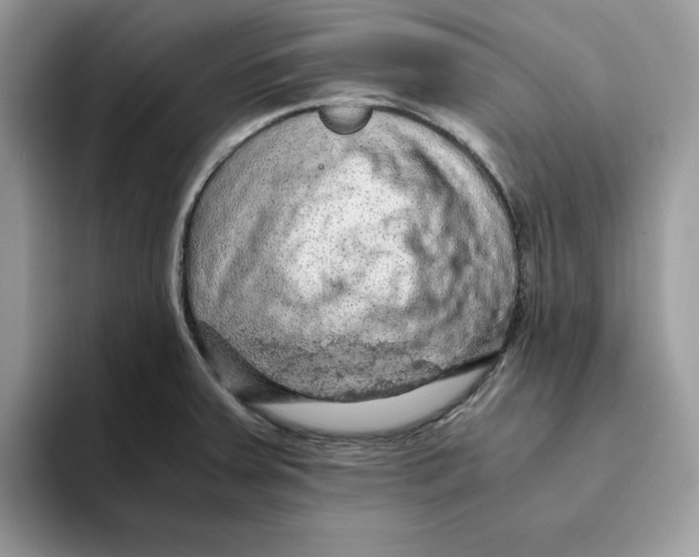 X0000093431379200711091428