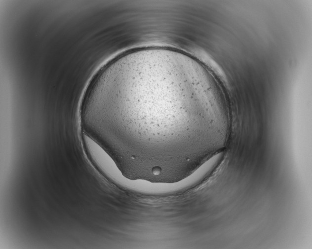 X0000093431380200711091428