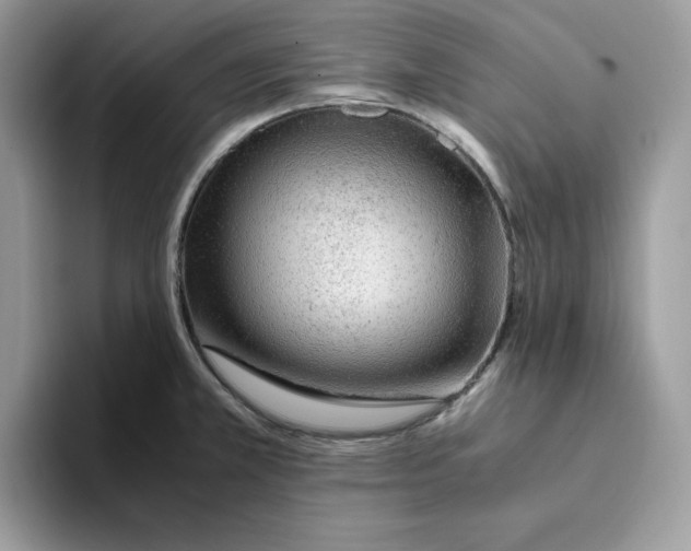 X0000093431381200711091428