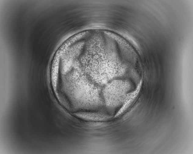 X0000093431382200711091428