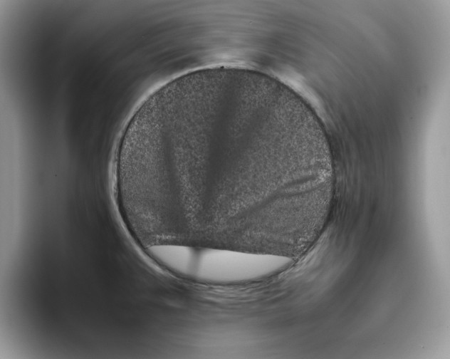 X0000093431383200711091428