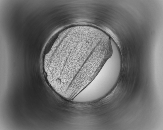 X0000093431384200711091428