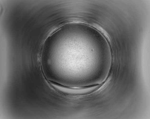 X0000093431385200711091428