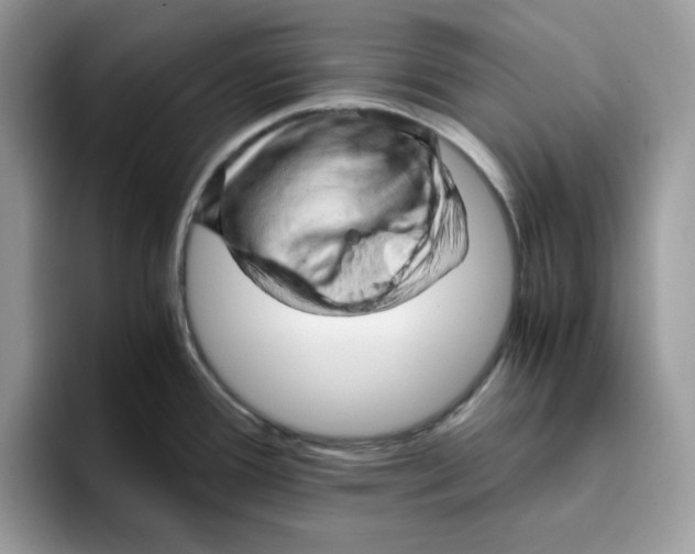 X0000093431388200711091428