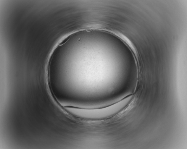 X0000093431389200711091428