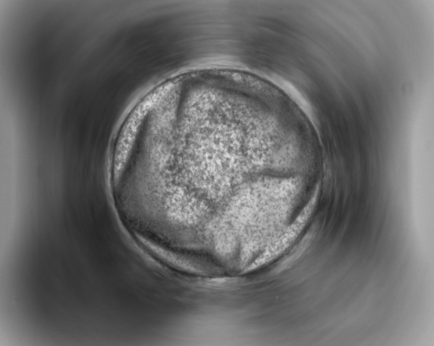 X0000093431390200711091428