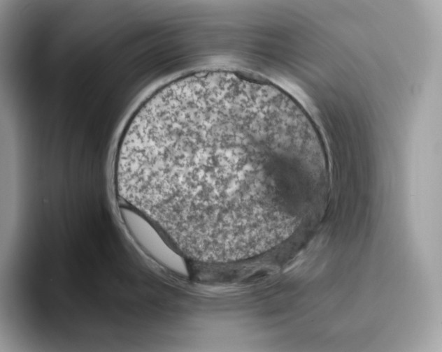 X0000093431392200711091428