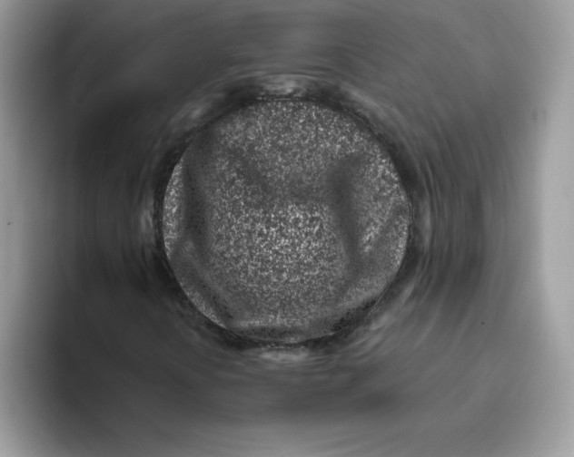 X0000093431394200711091427