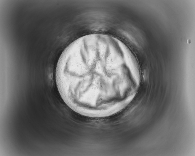 X0000093431396200711091427