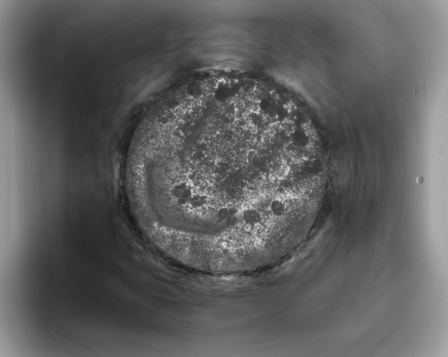 X0000093431399200711091427