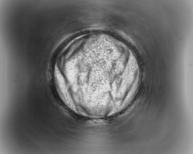 X0000093431400200711091427