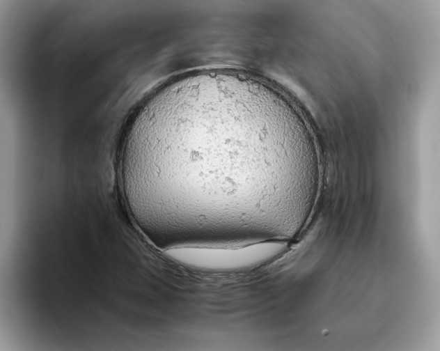 X0000093431407200711091427