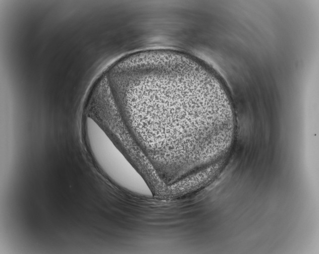 X0000093431415200711091427