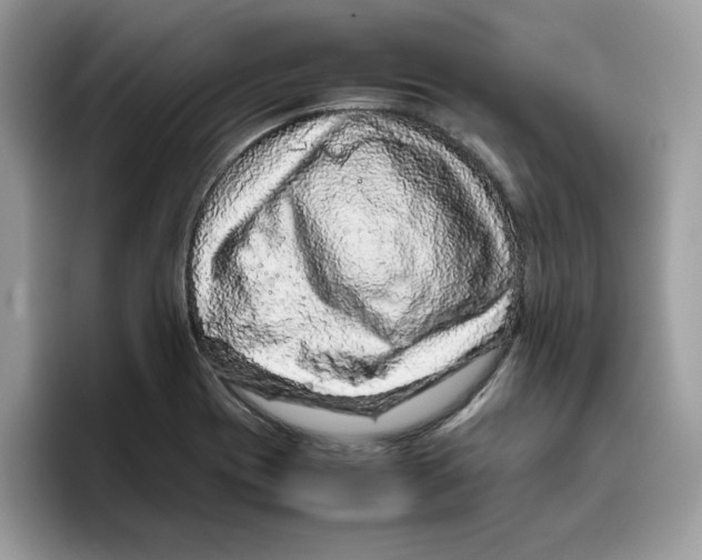 X0000093431417200711091427