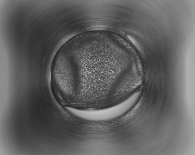 X0000093431418200711091427