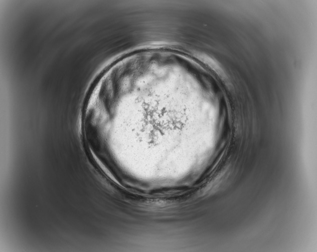 X0000093431420200711091427