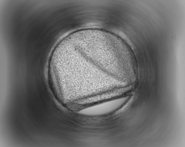 X0000093431421200711091427