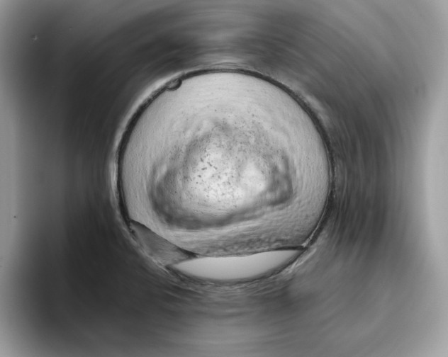 X0000093431424200711091427