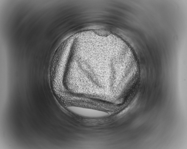 X0000093431425200711091427