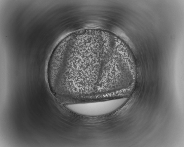 X0000093431427200711091427