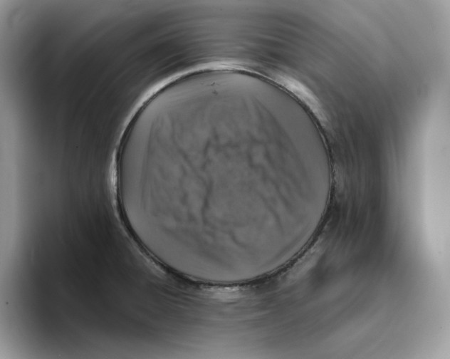 X0000093431428200711091427