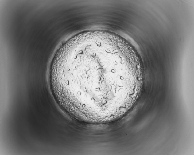 X0000093431429200711091427