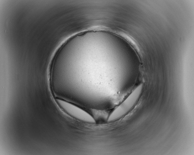 X0000093431430200711091427