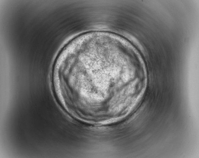 X0000093431432200711091427