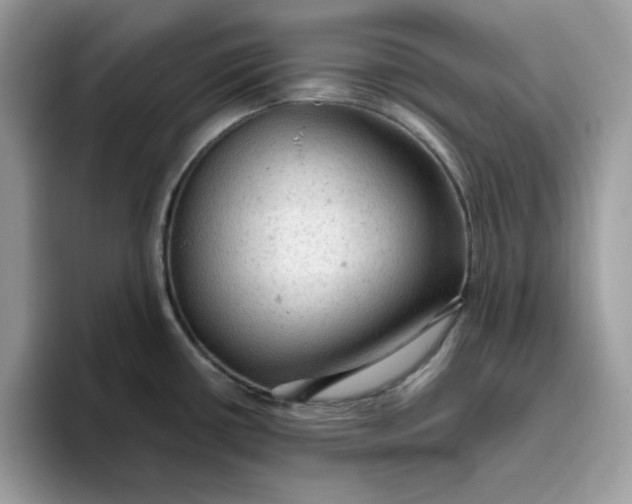 X0000093431434200711091428