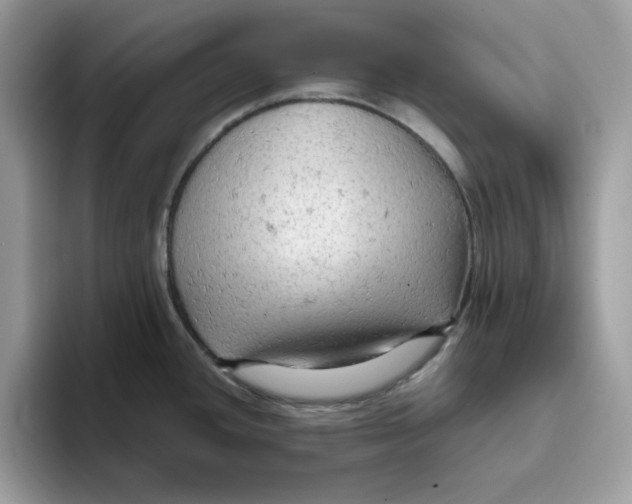 X0000093431436200711091428