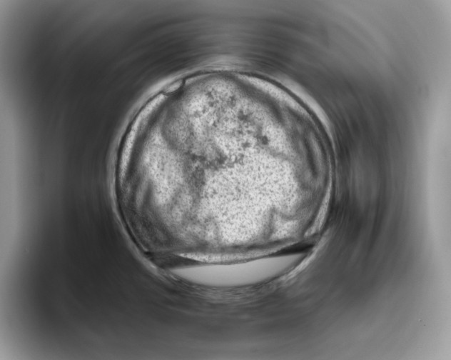 X0000093431437200711091428