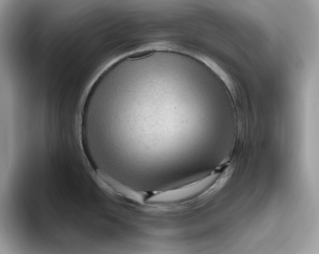 X0000093431438200711091428