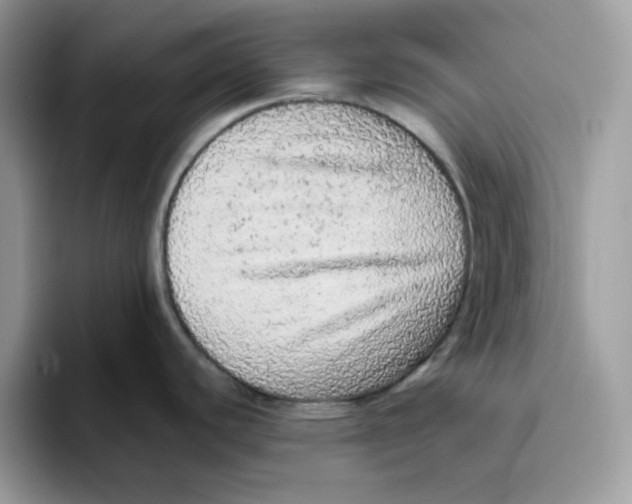 X0000093431440200711091428